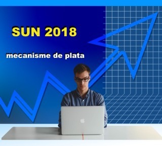 Important: mecanisme de decontare Start-up Nation 2018