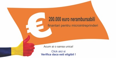 200.000 Euro nerambursabili pentru microintreprinderi