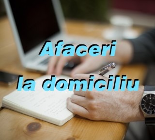 Idei de afaceri la domiciliu